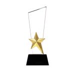 Premium crystal award with metal star for employee recognition